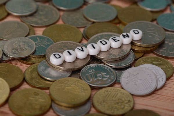 Dividendes en bourse : quelles sont les actions qu'ils offrent ?